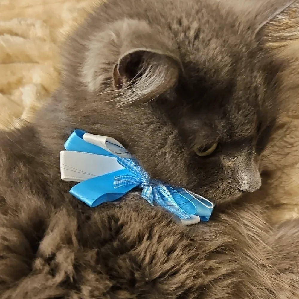 Blue and White Cat Bow Tie